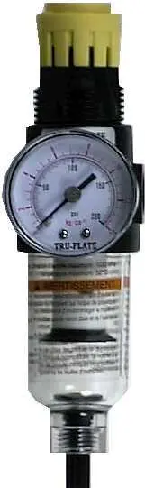 Tru-Flate 24243 Filter Regulator