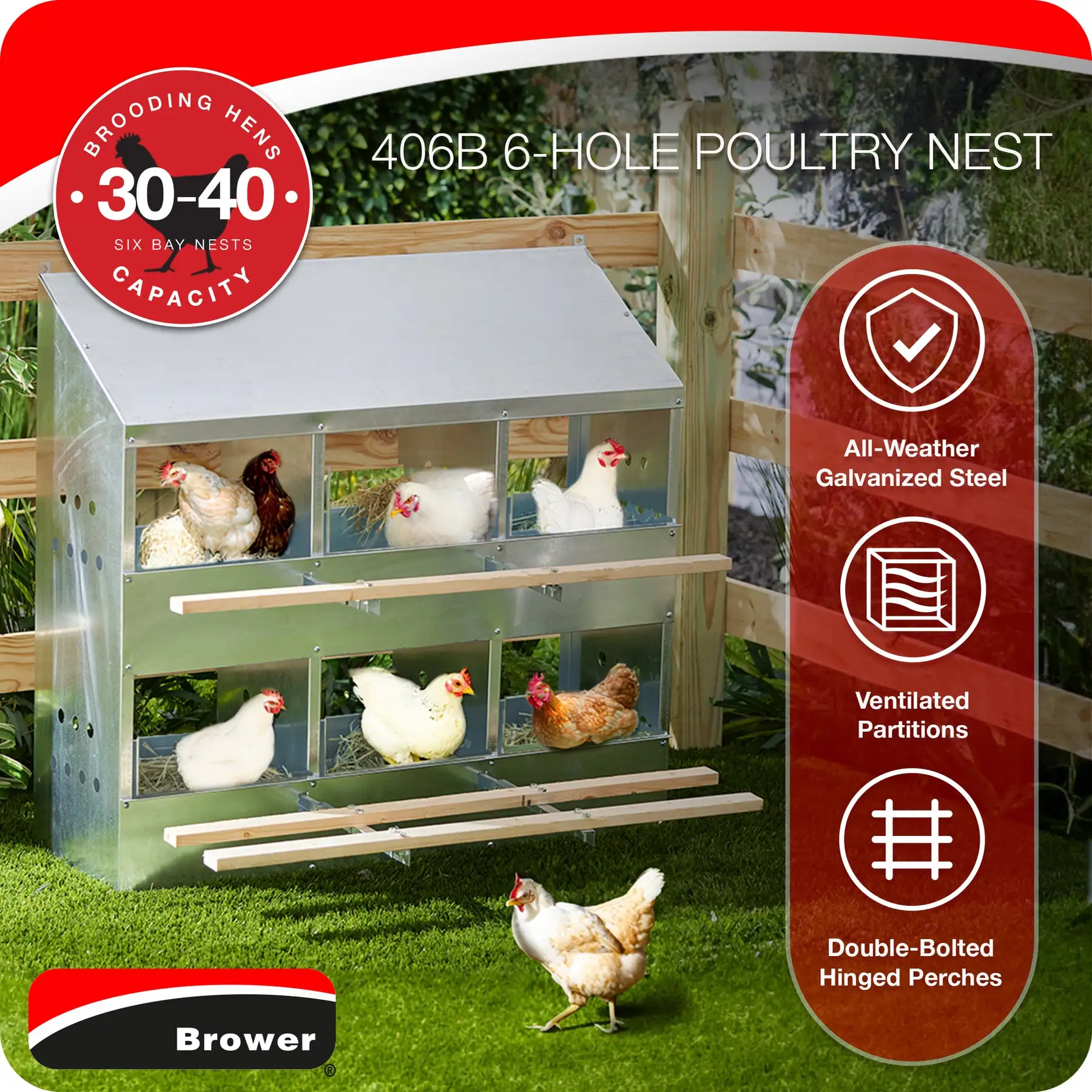 Brower 406B Galvanized Steel 6 Hole 30 Bird Poultry Nest Chicken ...