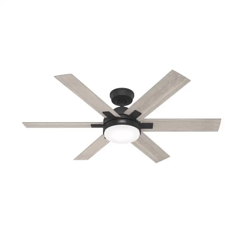 Hunter Fan 51879 Georgetown Ceiling Fan