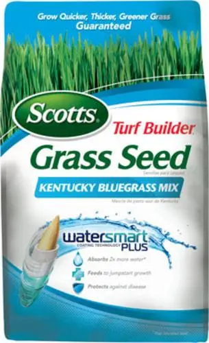 Scotts 18169 Turf Builder Kentucky Bluegrass Mix Grass Seed