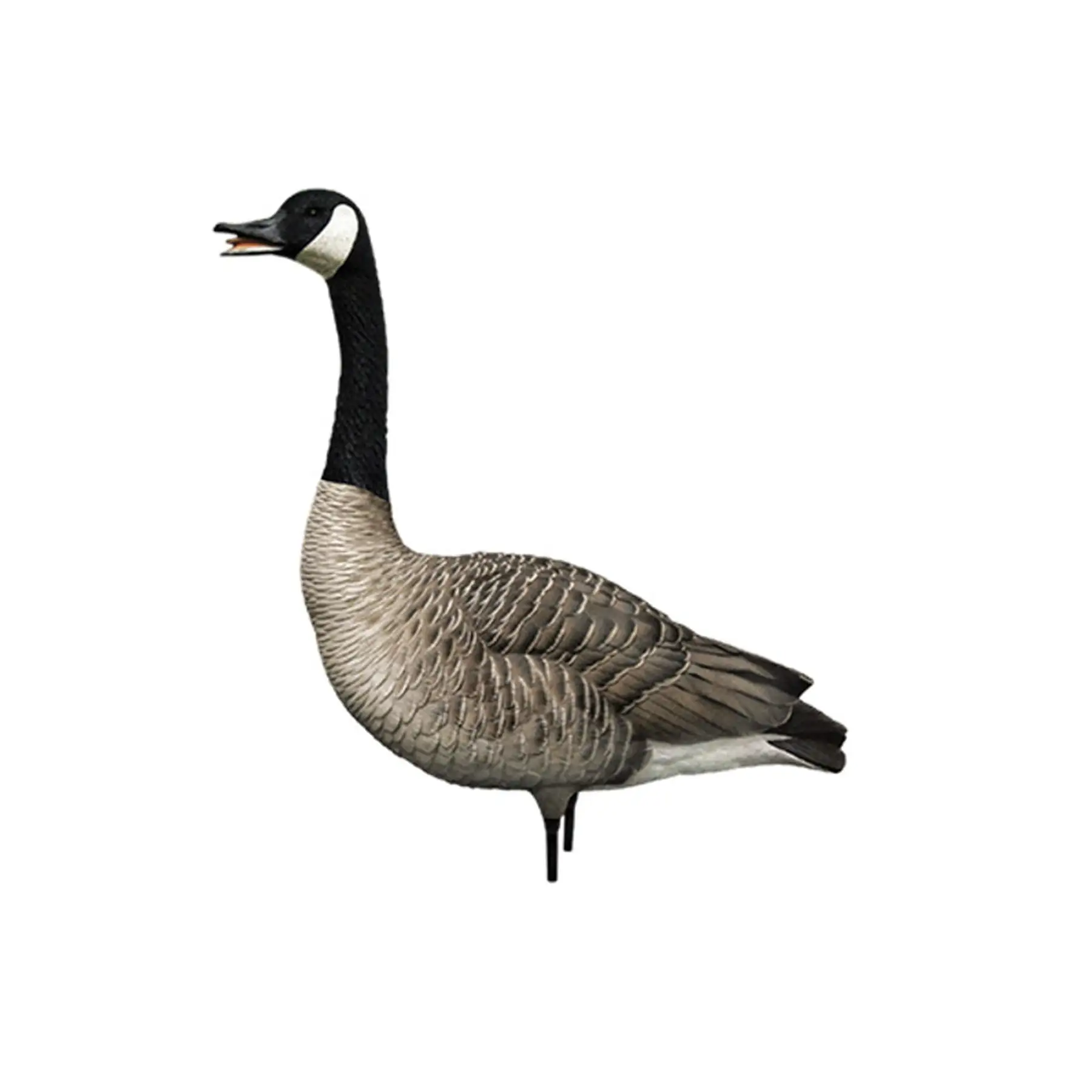 Avian X AXP Honkers Full Body Realistic Paint Canada Goose Decoys Fusion Pack - Image 2