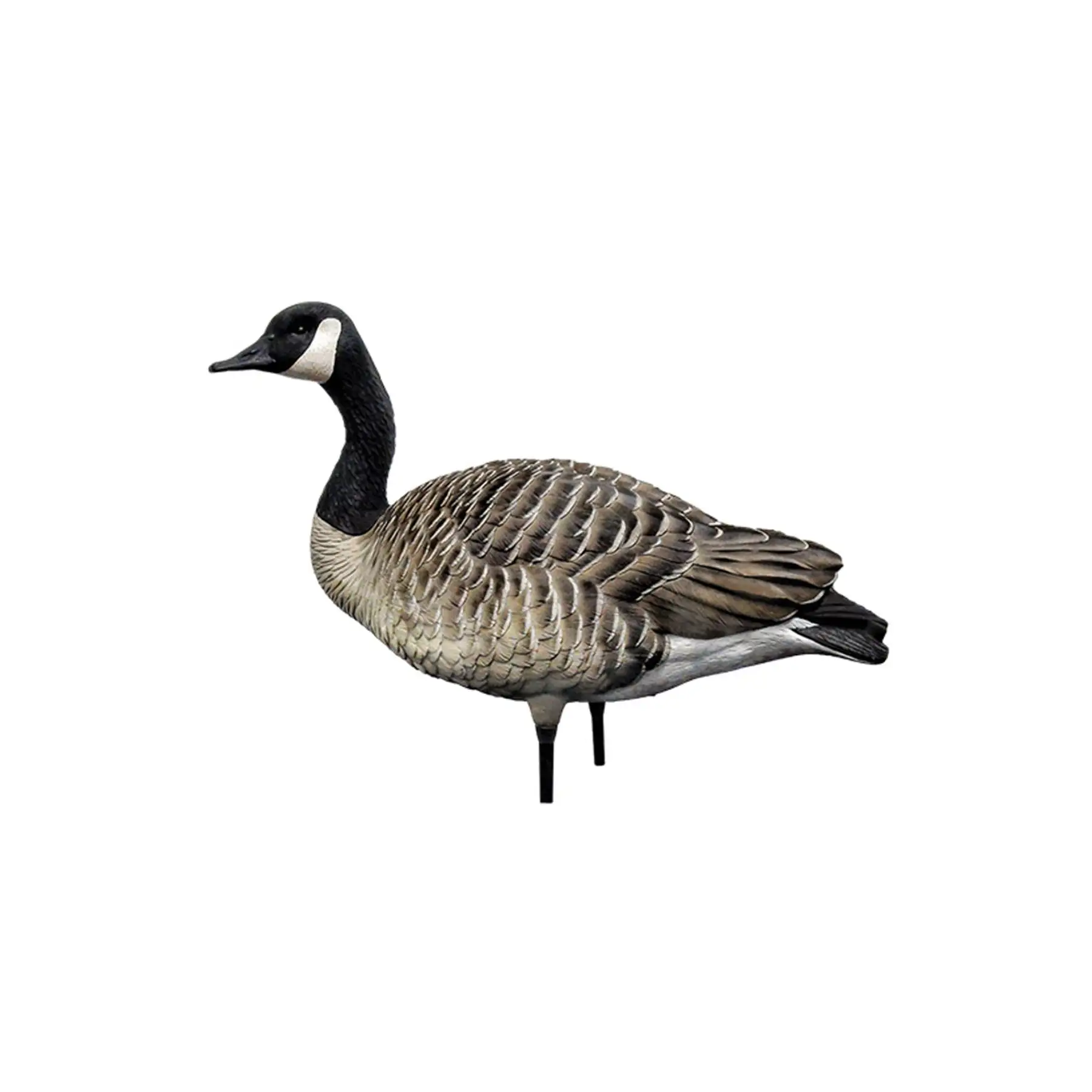 Avian X AXP Honkers Full Body Realistic Paint Canada Goose Decoys Fusion Pack - Image 3