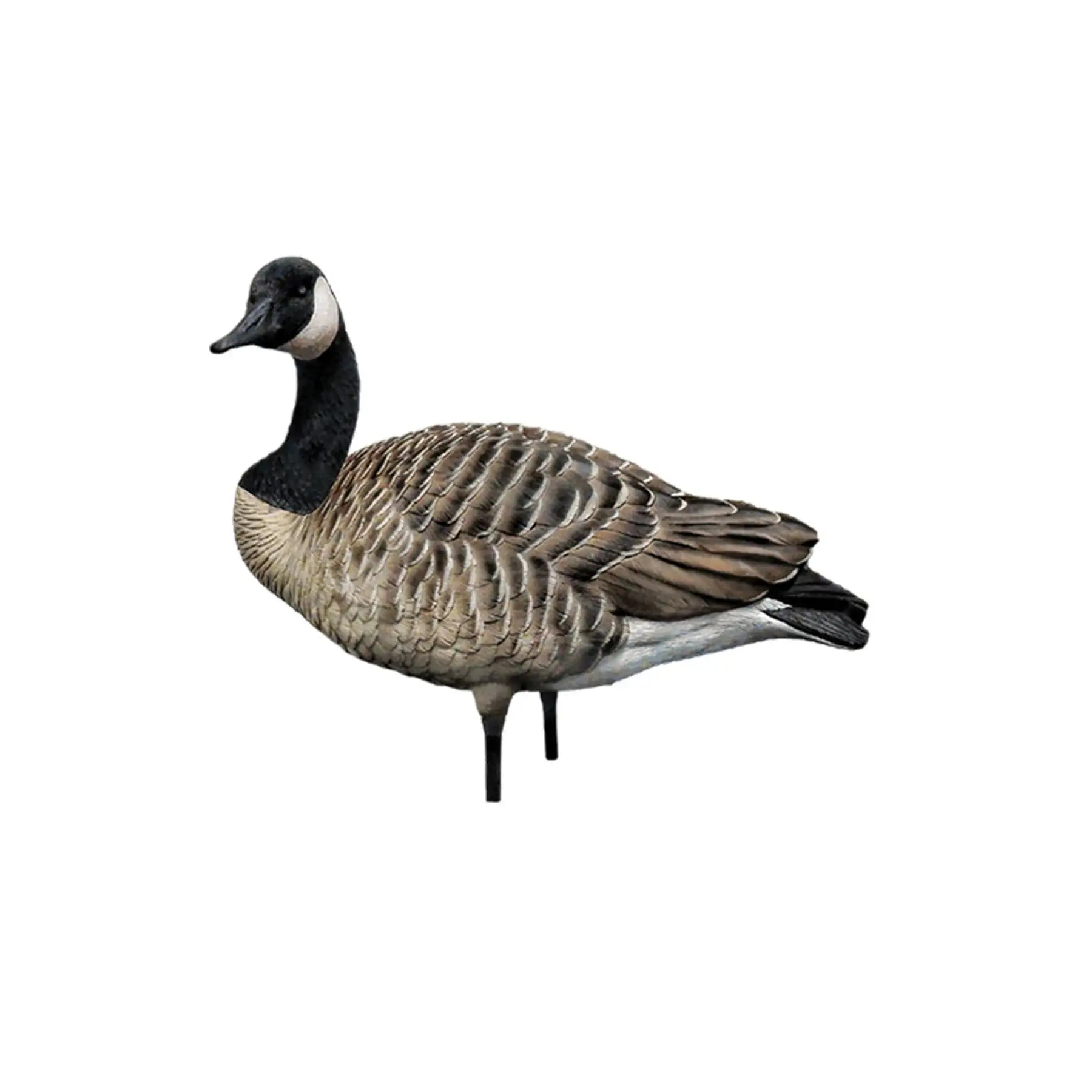 Avian X AXP Honkers Full Body Realistic Paint Canada Goose Decoys Fusion Pack - Image 4