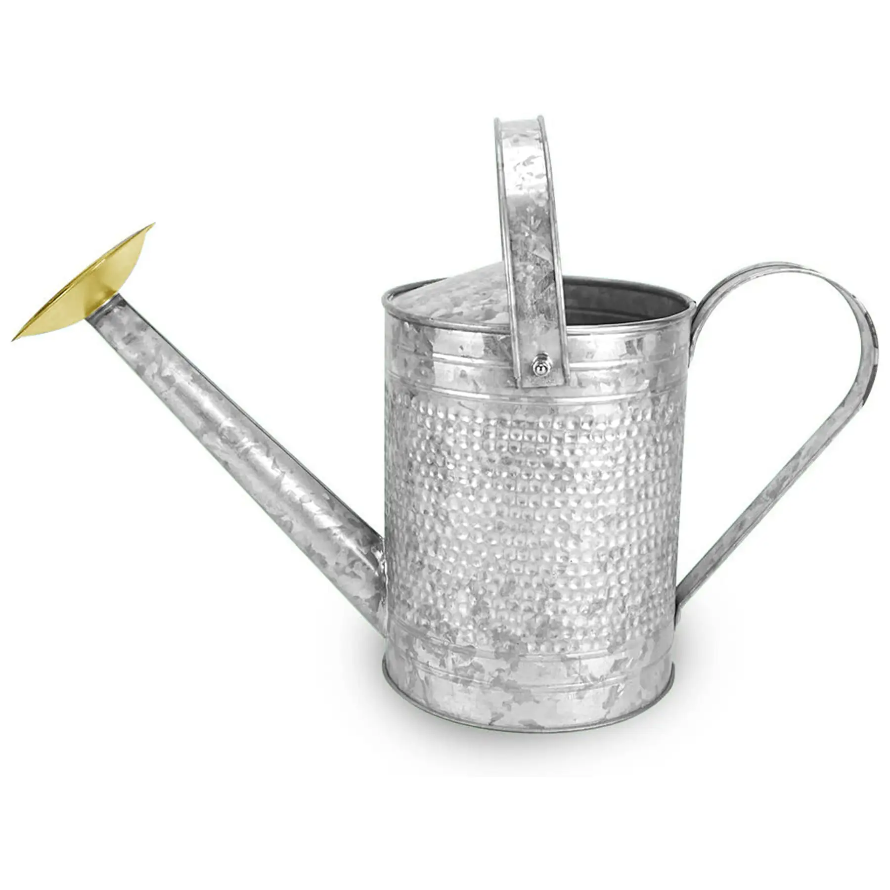 Jameson 1 Gallon Galvanized Watering Can with Handle for Patio, Lawn, and Garden