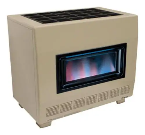 Empire RH-65BLP Visual Flame Vented Room Heater