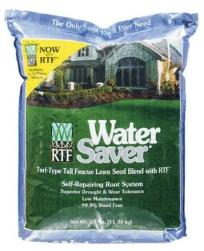 Barenbrug 11625 Water Saver Tall Fescue Grass Seed