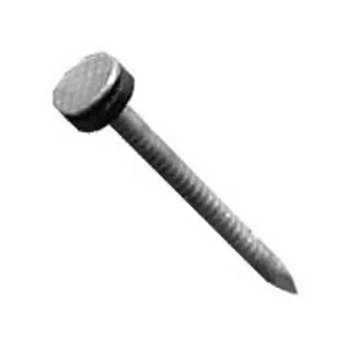 LBM 00168112 Galvanized Washer Roof Nail