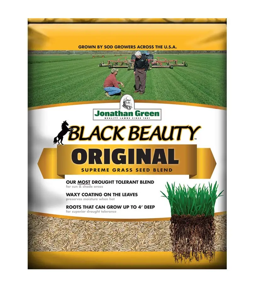 Jonathan Green Black Beauty 10317 Green Turf Grass Seed