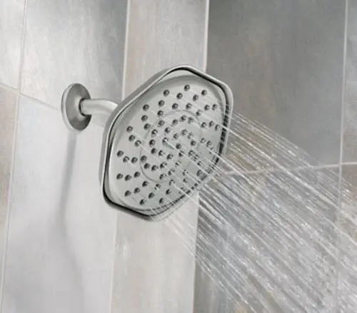 Moen 21919SRN Showerhead Rain Shower