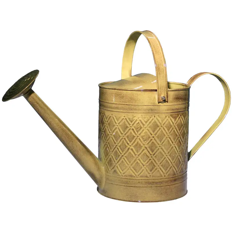 Robert Allen MPT01501 Wexley Watering Can