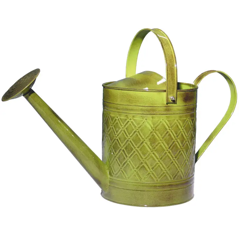 Robert Allen MPT01500 Wexley Watering Can