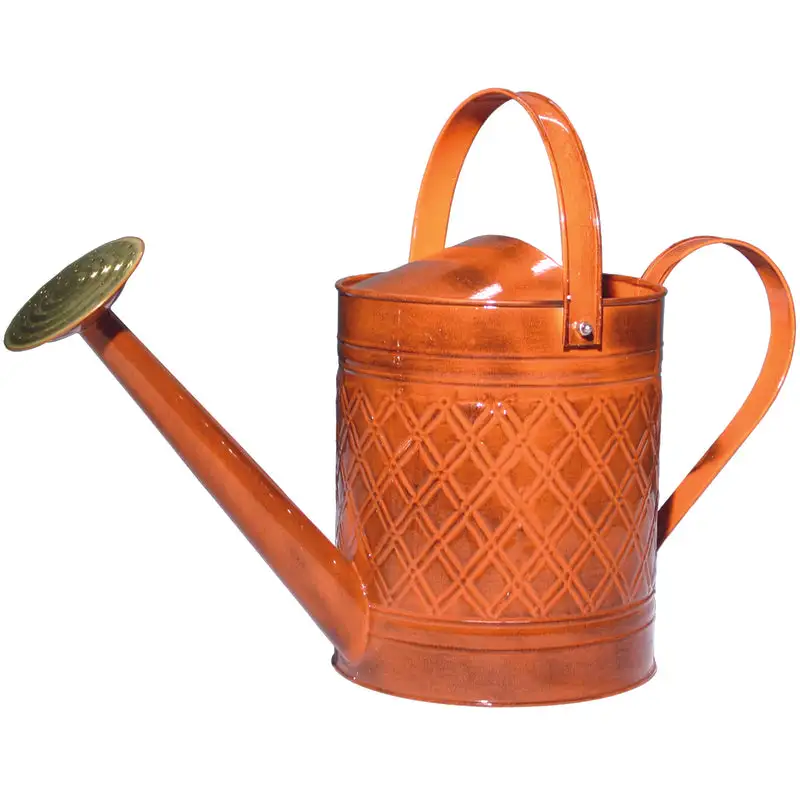 Robert Allen MPT01502 Wexley Watering Can