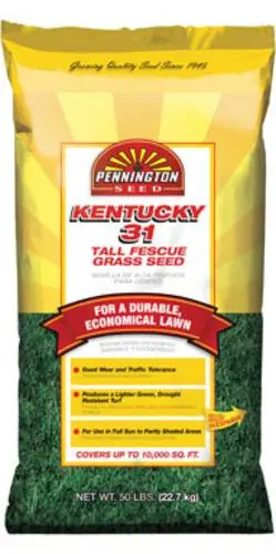 Pennington 100081960 Kentucky 31 Tall Fescue Grass Seed