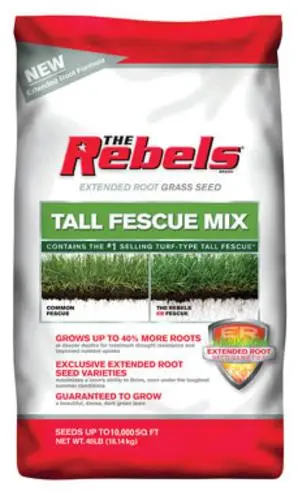 Pennington Seed 147867 Rebel Tall Fescue Grass Seed