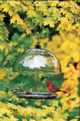 Droll Yankees DCF Dorothy'S Cardinal Feeder