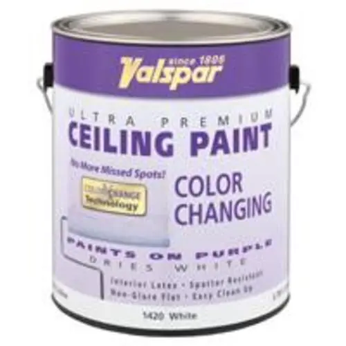 Valspar 027.0001420.007 Color Changing Ceiling Paint