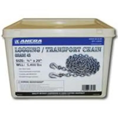 Ancra 49958-38-20-SP 3/8X20 G43 Transprtchain W/Hks