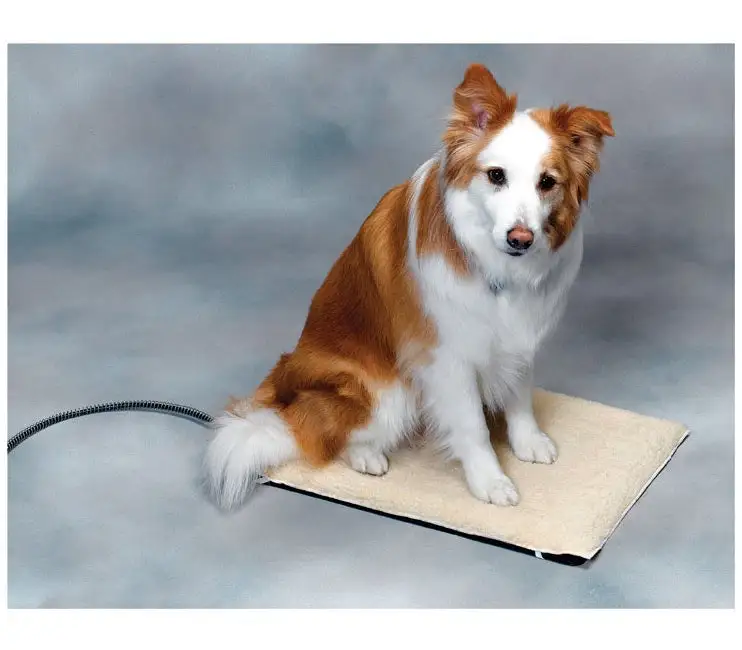 API 98P-M Rectangle Heated Pet Mat