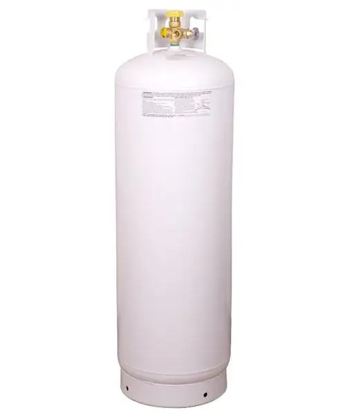 Bernzomatic 282170 Empty Steel Propane Cylinder