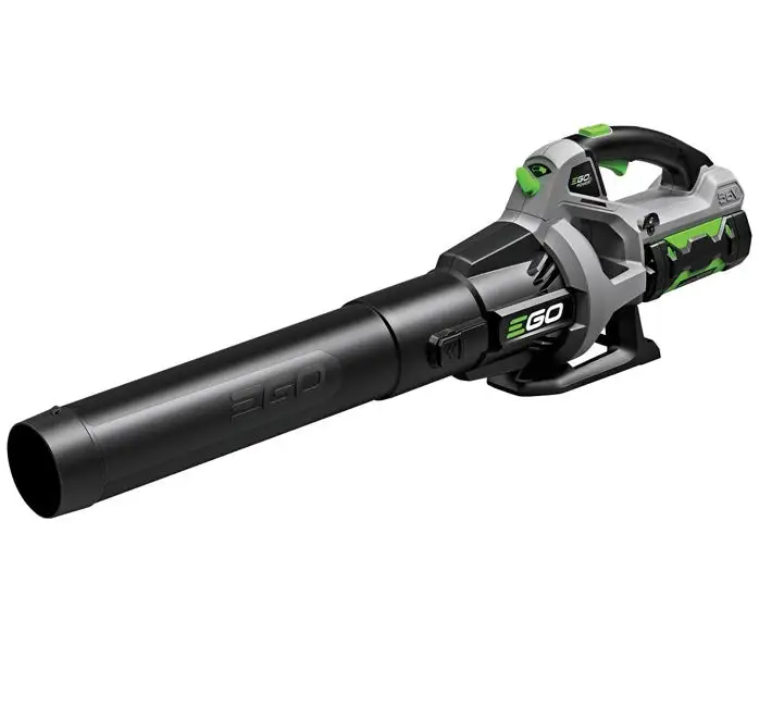 EGO LB5302 Handheld Leaf Blower