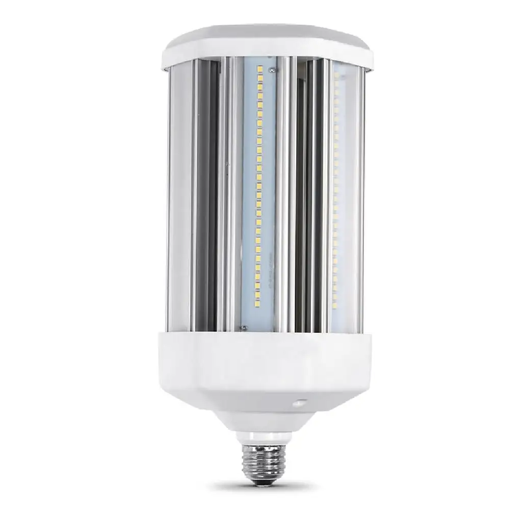 Feit Electric C10000/5K/LEDG2 Specialty LED Bulb