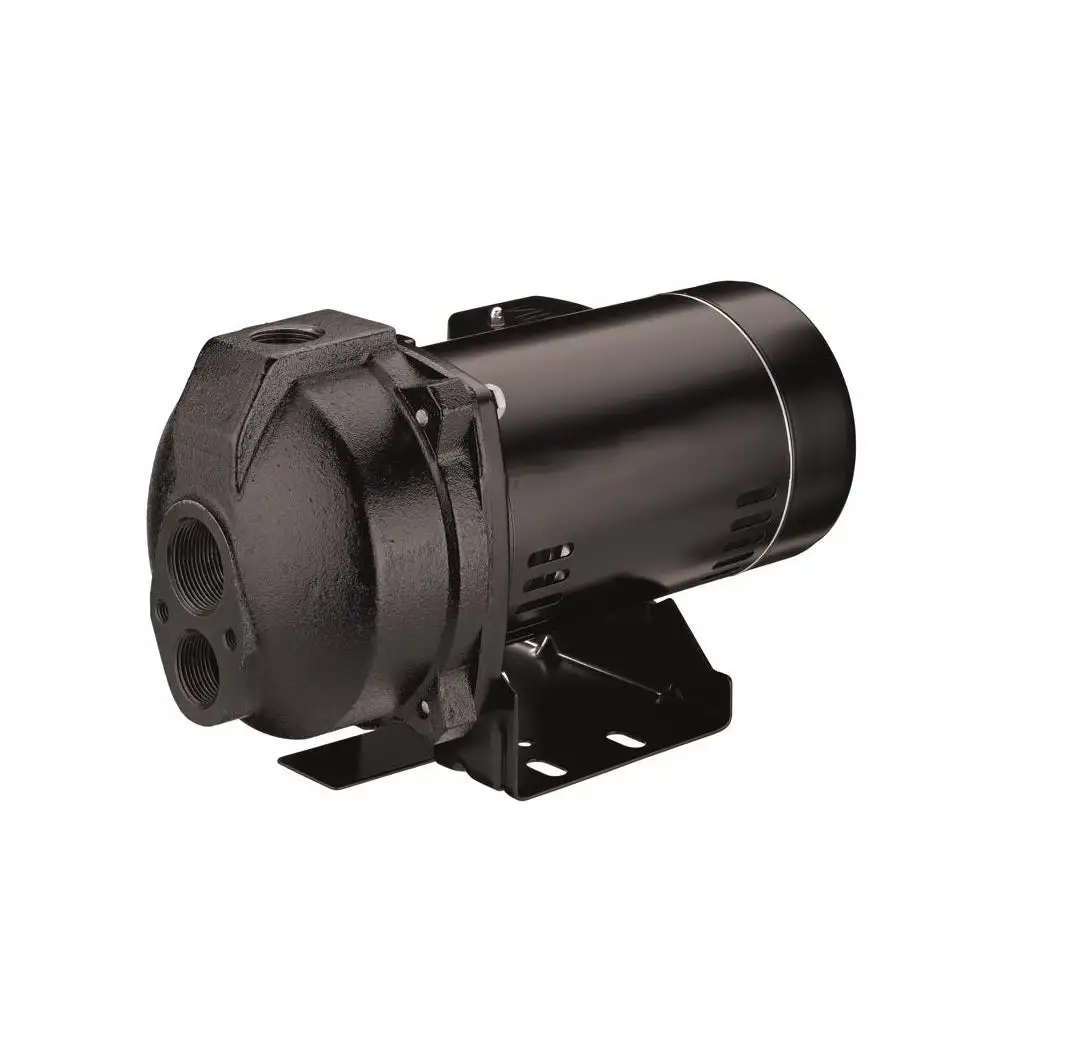 Flotec FP4542 Convertible Jet Well Pump