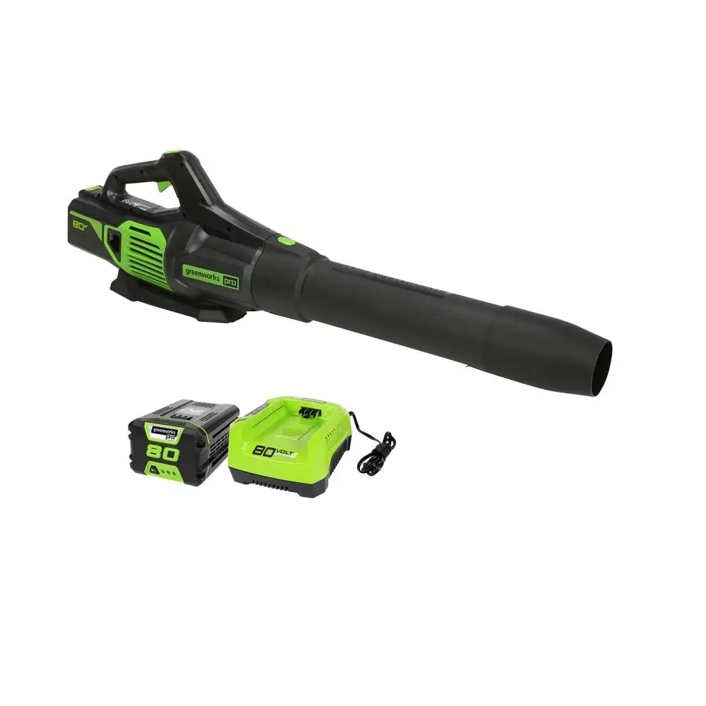 Greenworks 2410002VT Leaf Blower