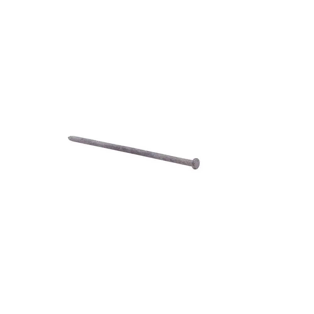 Grip-Rite 10HGSPK Flat Head Spike Nail