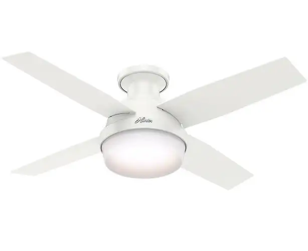 Hunter 59244 Dempsey Ceiling Fan With Light