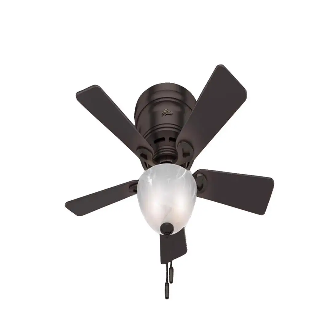 Hunter Fan 52137 LED Indoor Ceiling Fan