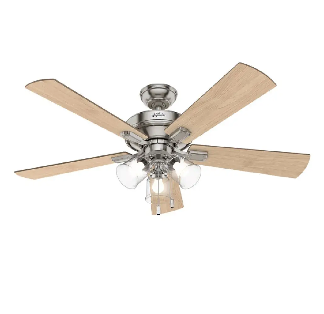 Hunter Fan 54206 Indoor Ceiling Fan