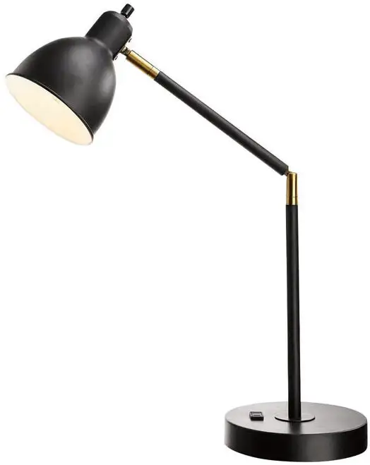 Living Accents 20092-002 Adjustable Desk Lamp