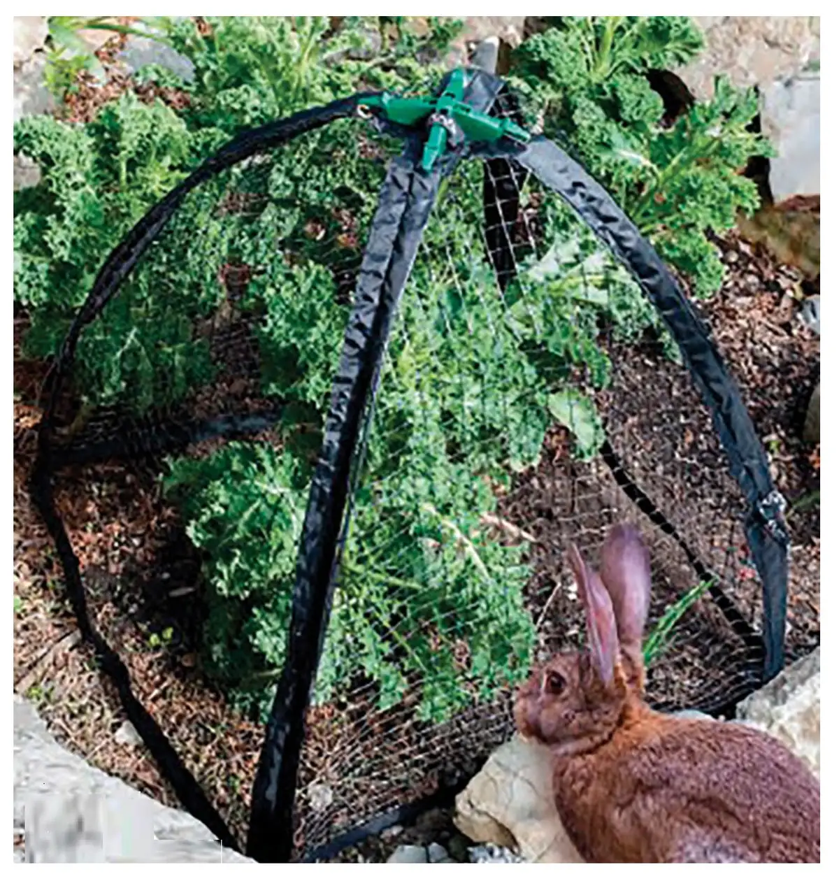 NuVue 30200 PestGuard Plant Protector