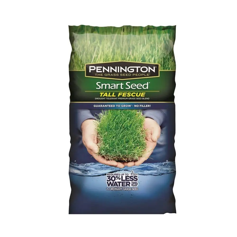 Pennington 100543724 Grass Seed