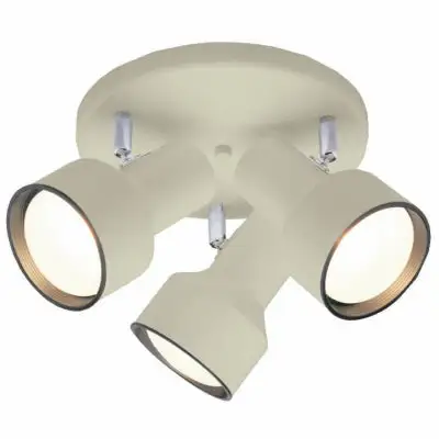 Westinghouse 66326 Ceiling Light