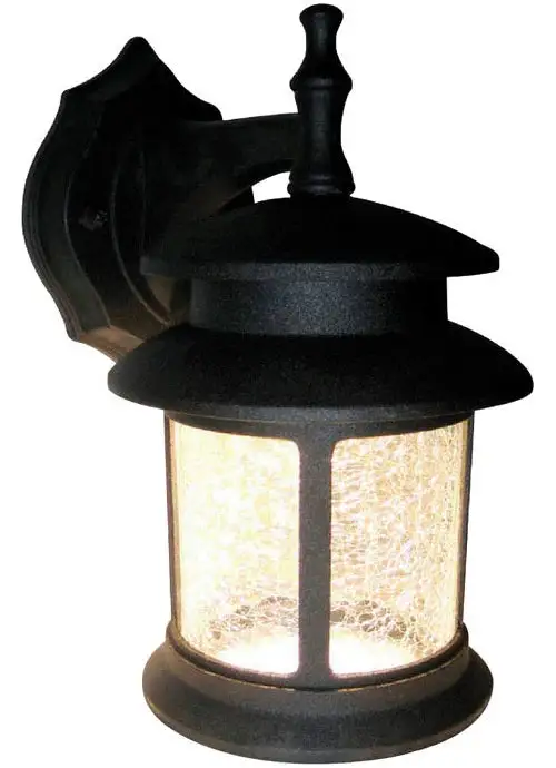 Westinghouse 64004 1 lights LED Outdoor Wall Lantern