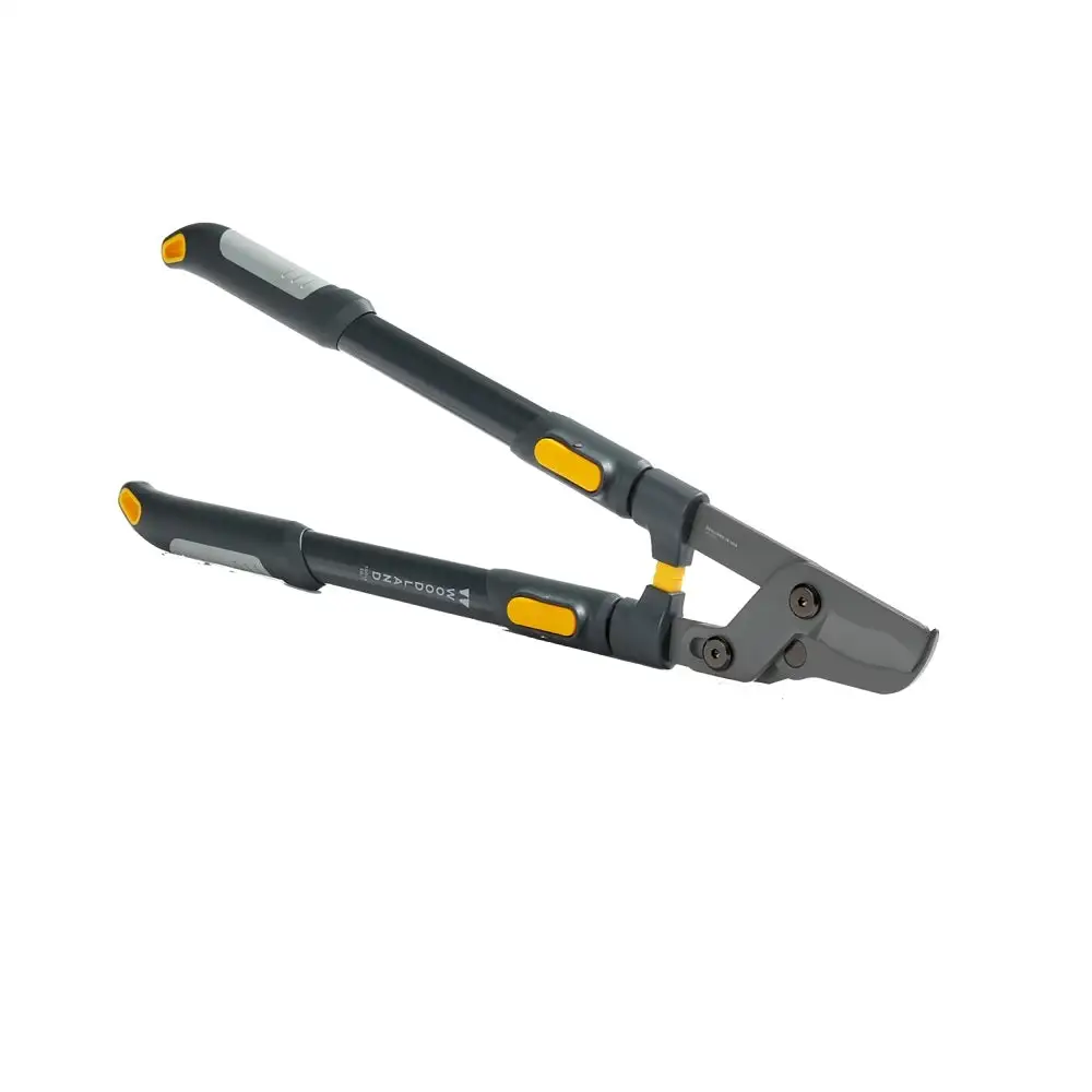 Woodland Tools 25-3005-100 LeverAction Heavy-Duty Extendable Lopper