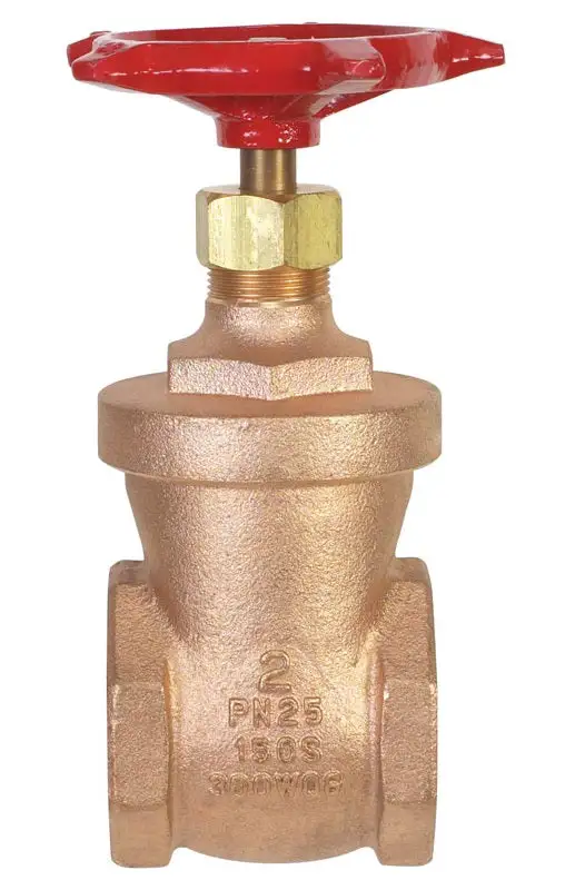 B & K 100-208 Gate Valve