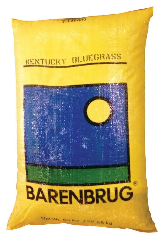 Barenbrug KBG50PLT Kentucky Bluegrass Full Sun Grass Seed