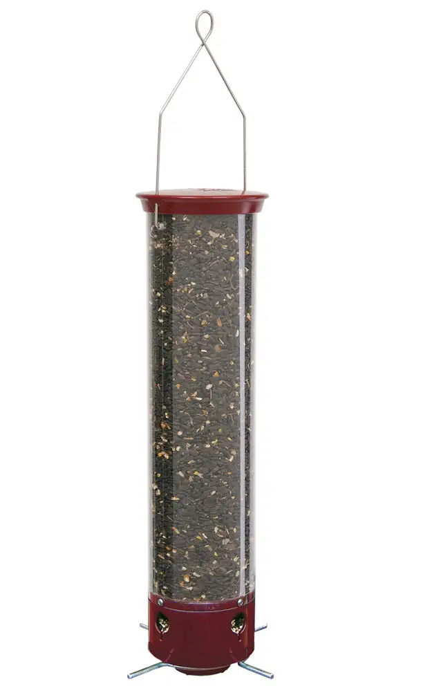 Droll Yankees YCPD-90 4 Ports Yankee Dipper Bird Feeder