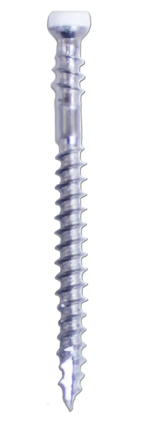 GRK 36628 Pheinox White RT Composite Screw