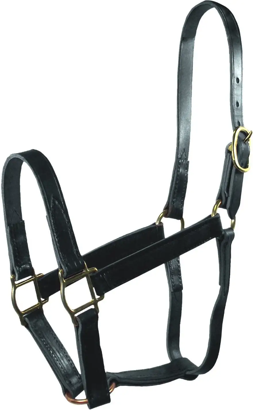 Hamilton 1LQ AVBK Leather Horse Halter