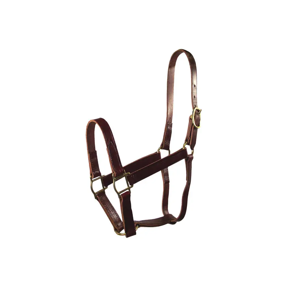 Hamilton 1LQ YRBR Leather Horse Halter