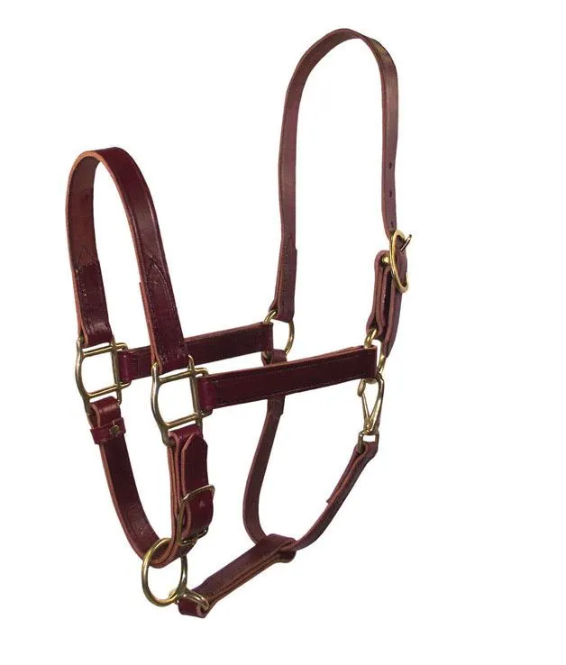 Hamilton 1LQAS AVBR Brown Leather Halter For Horse Average