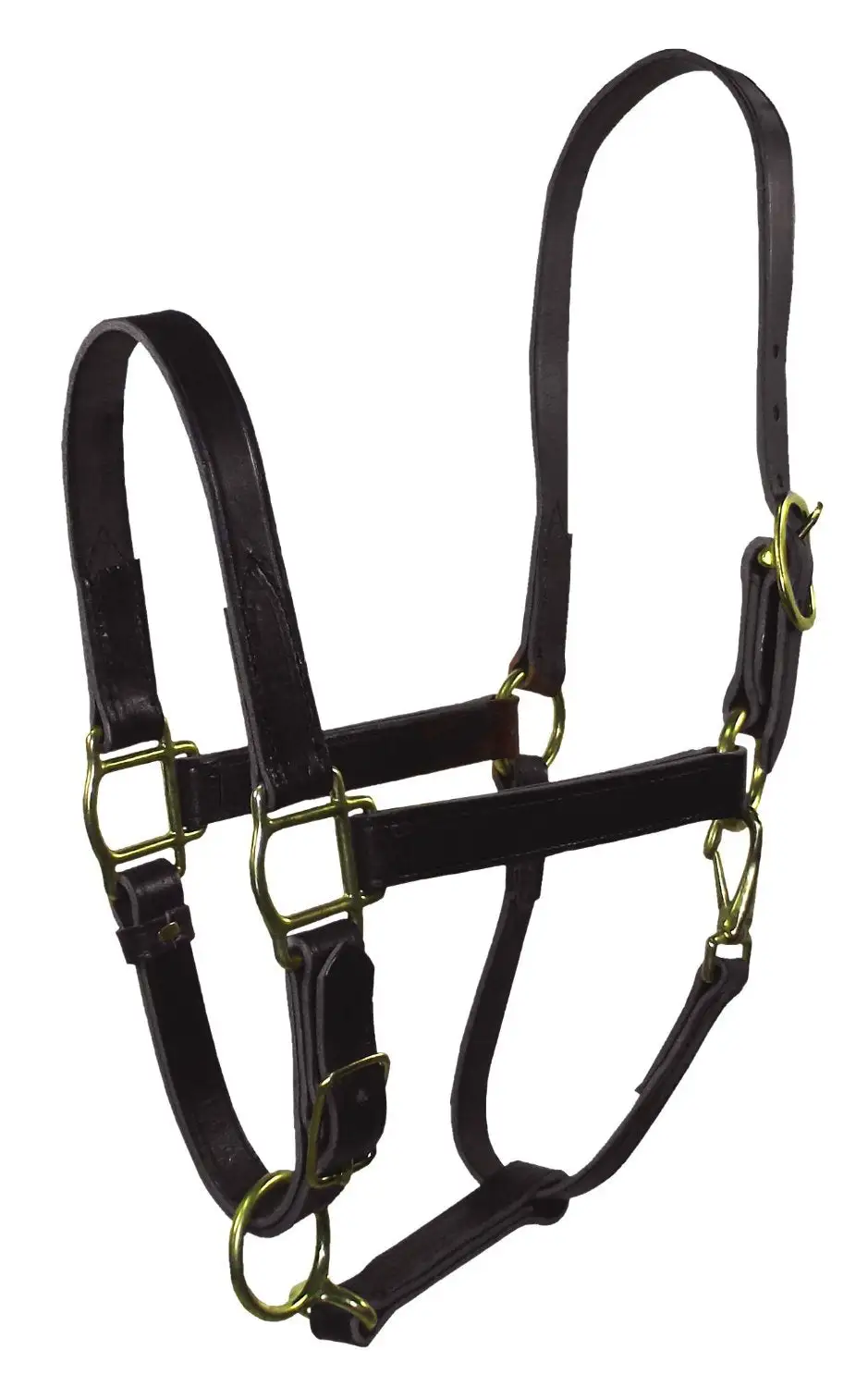 Hamilton 1LQAS YRBK Leather Halter For Horse Yearling