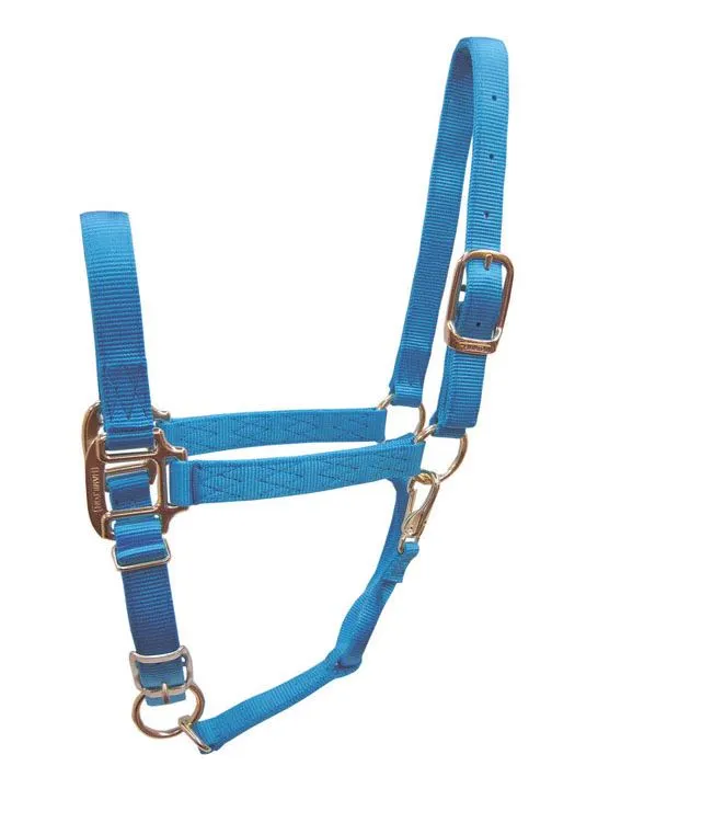 Hamilton 1QAS AVAQ Aqua Nylon Halter For Horse Average