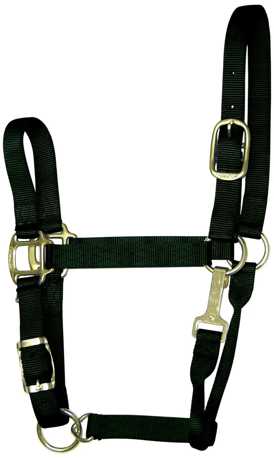 Hamilton 1QAS AVBK Nylon Halter For Horse Average