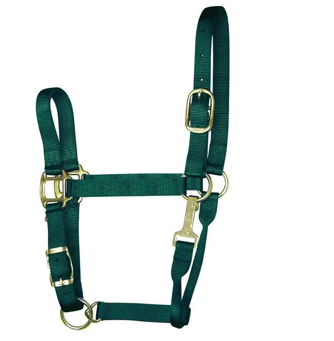 Hamilton 1QAS AVDG Dark Green Nylon Halter For Horse Average