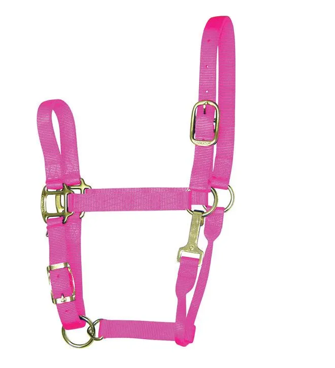 Hamilton 1QAS AVHP Hot Pink Nylon Halter For Horse Average