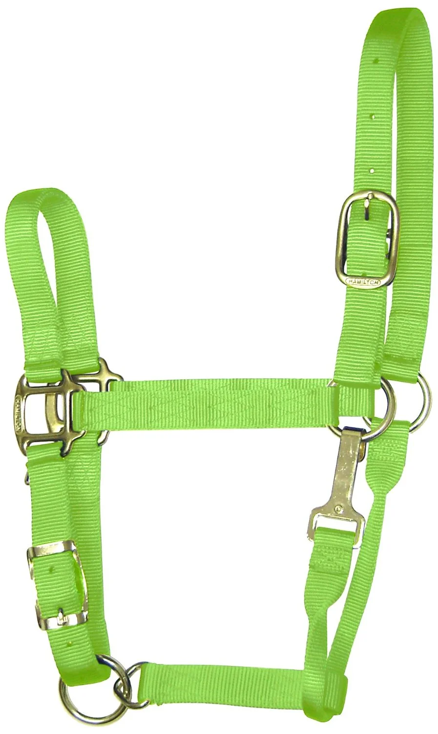 Hamilton 1QAS AVLI Nylon Halter For Horse Average